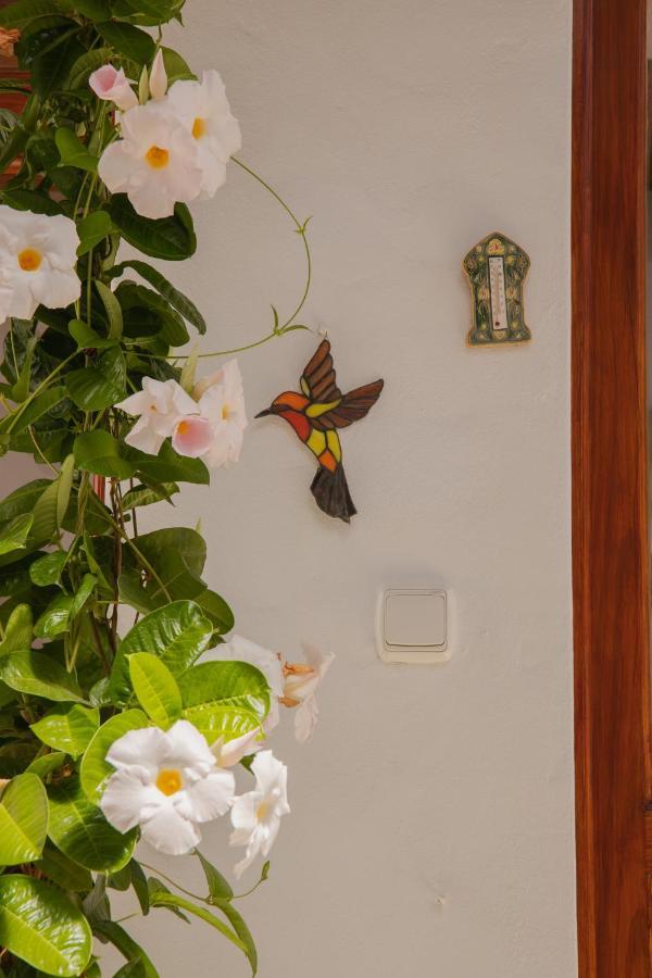 Casa Carmen Villa Haría Buitenkant foto